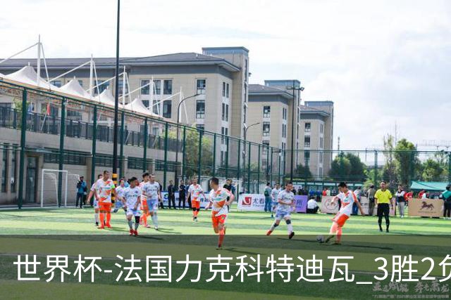 世界杯-法国力克科特迪瓦 3胜2负告别世界杯